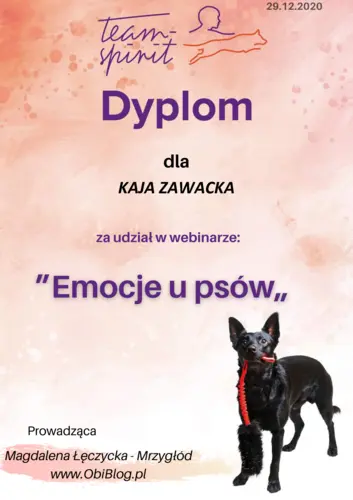 zrozumienie emocji u psow