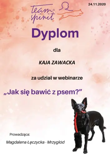 zabawa z psem