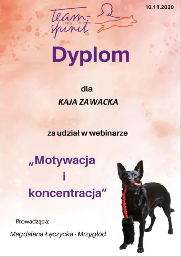 jak motywowac psa