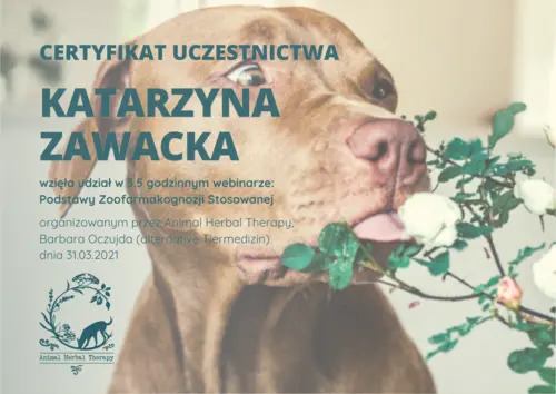 certyfikat ukonczenia szkolenia z zoofarmakognozji