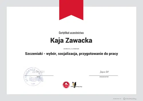 jak wybrać szczeniaka i zadbać o jego socjalizację